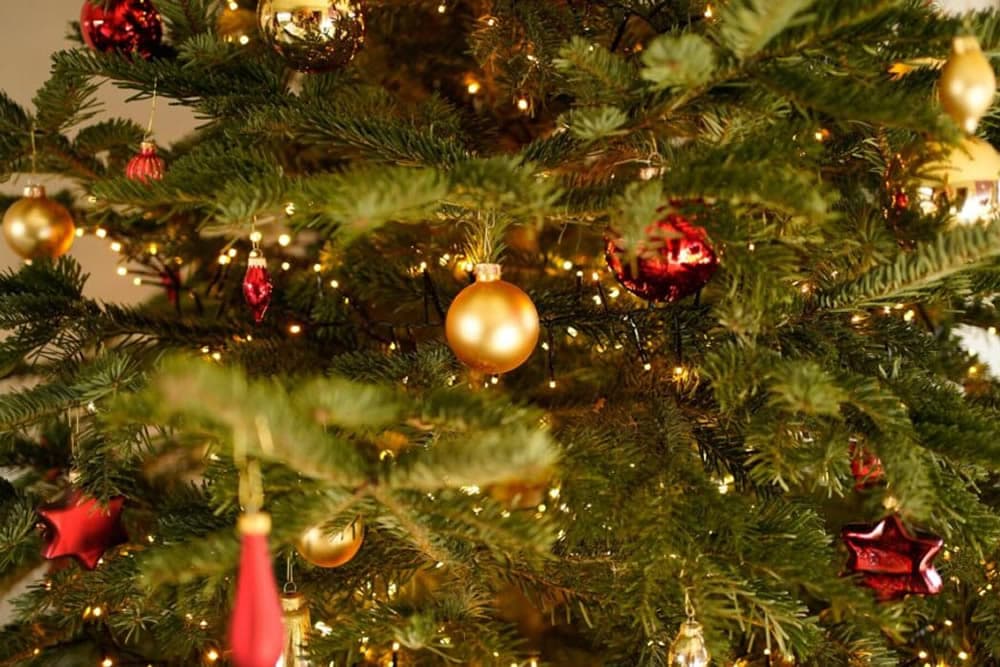 A close-up of a Christmas tree decorated with gold and red ornaments and warm lights.