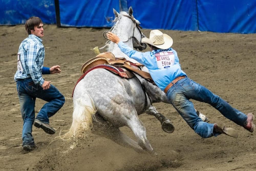 A cowboy is thrown off a gray horse while another man watches in a rodeo setting.