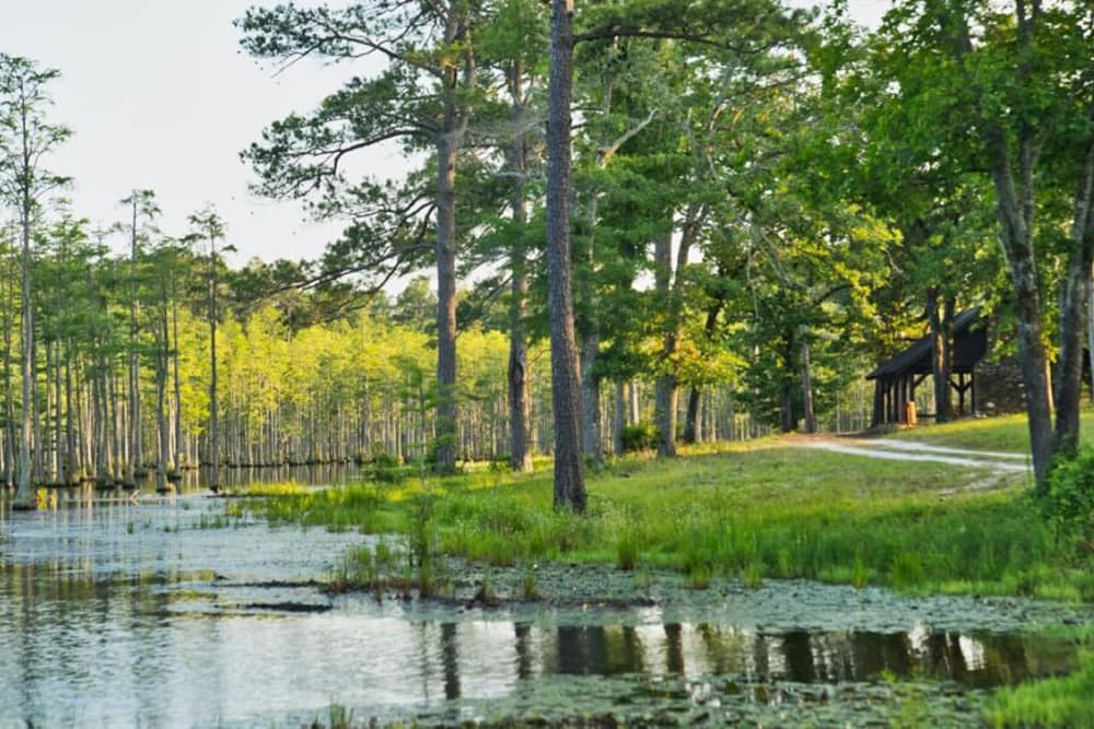 A serene landscape featuring a calm water body bordered by lush trees and a distant cabin.