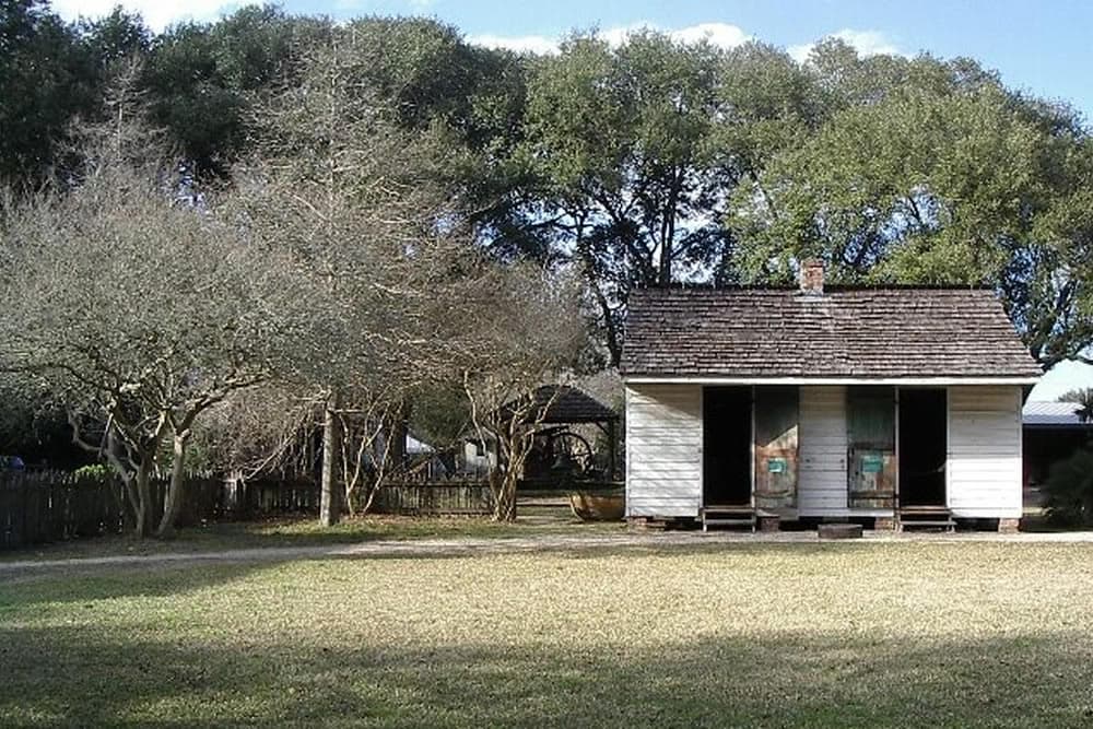 A small, weathered wooden house surrounded by trees and grassy land.
