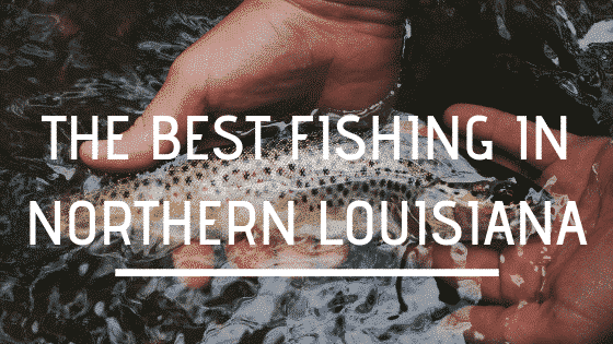 A hand holds a fish above water with the text "The Best Fishing in Northern Louisiana" overlaid. A hand holds a fish above water with the text "The Best Fishing in Northern Louisiana" overlaid.