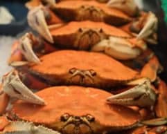 A close-up of multiple orange crabs stacked on ice.