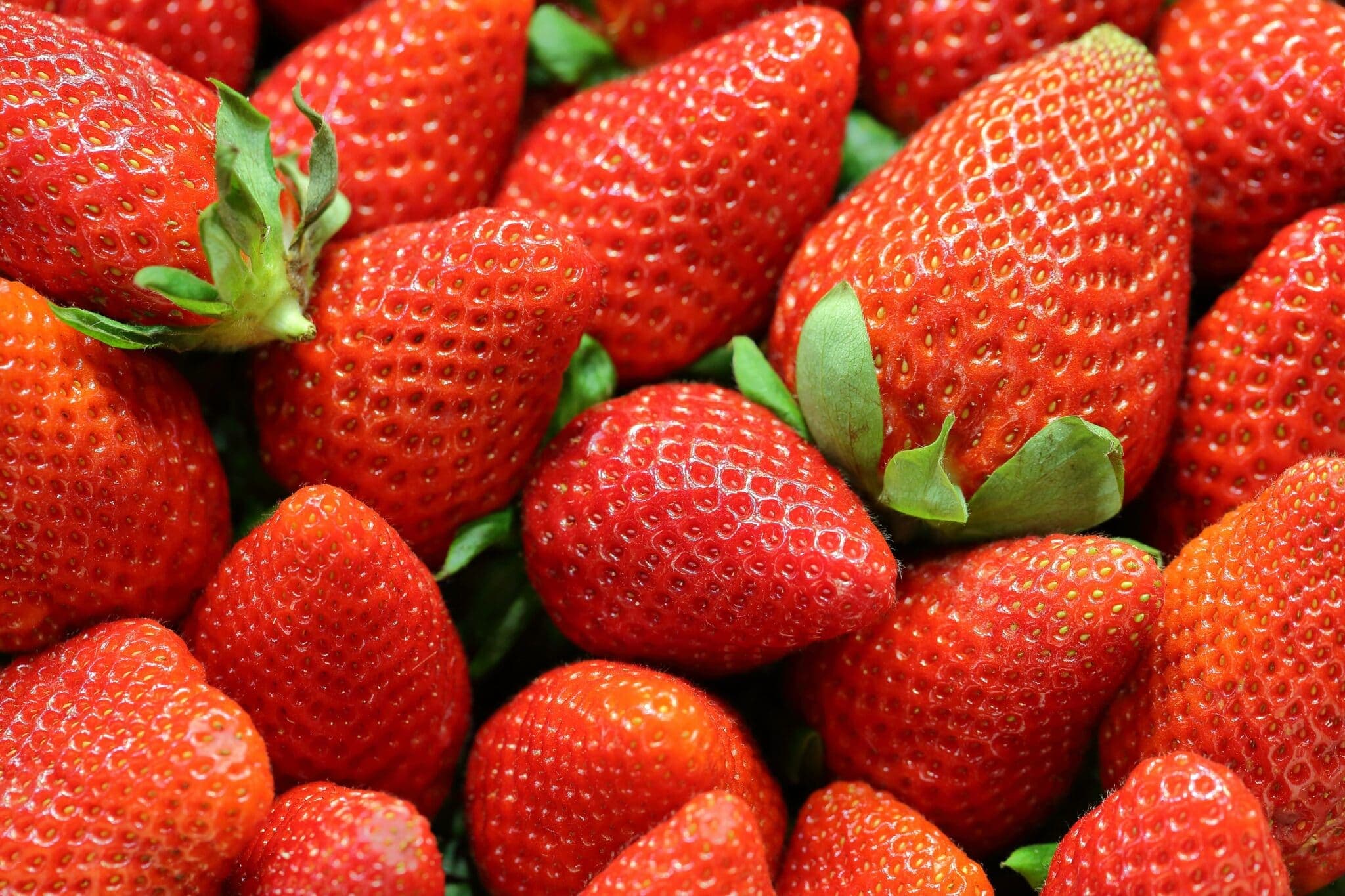 A close-up of fresh, ripe strawberries with bright red color and green leaves. A close-up of fresh, ripe strawberries with bright red color and green leaves.