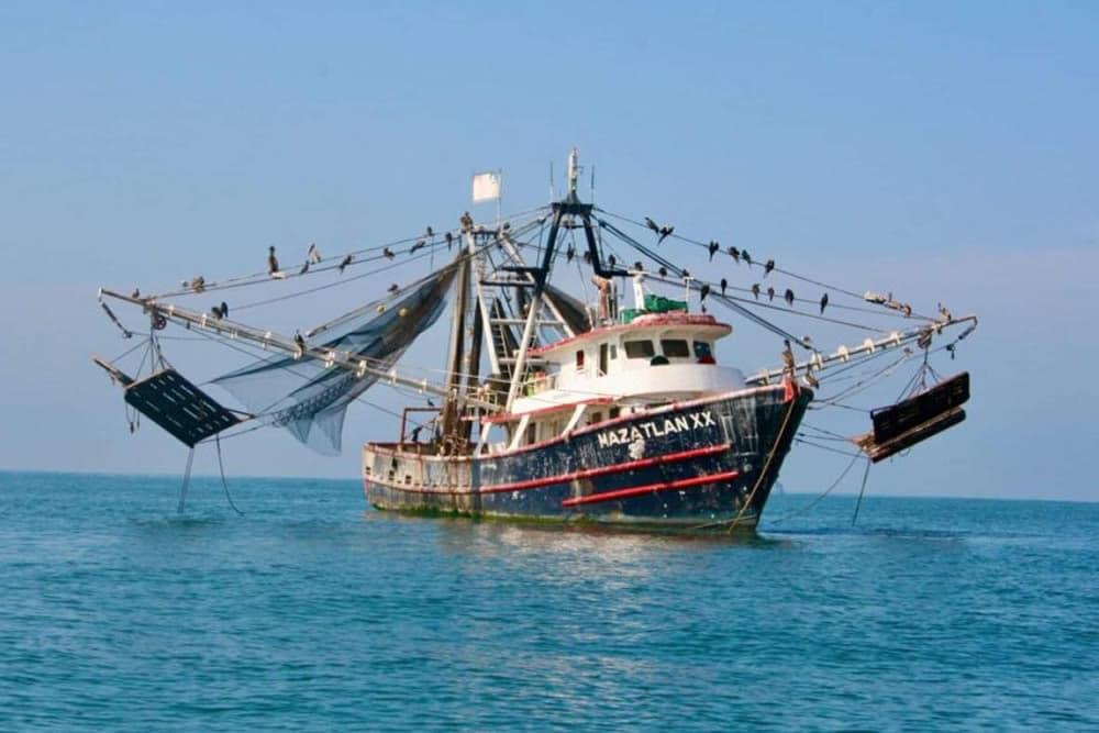 A fishing boat with nets suspended and birds perched on its rigging, anchored in calm waters.
