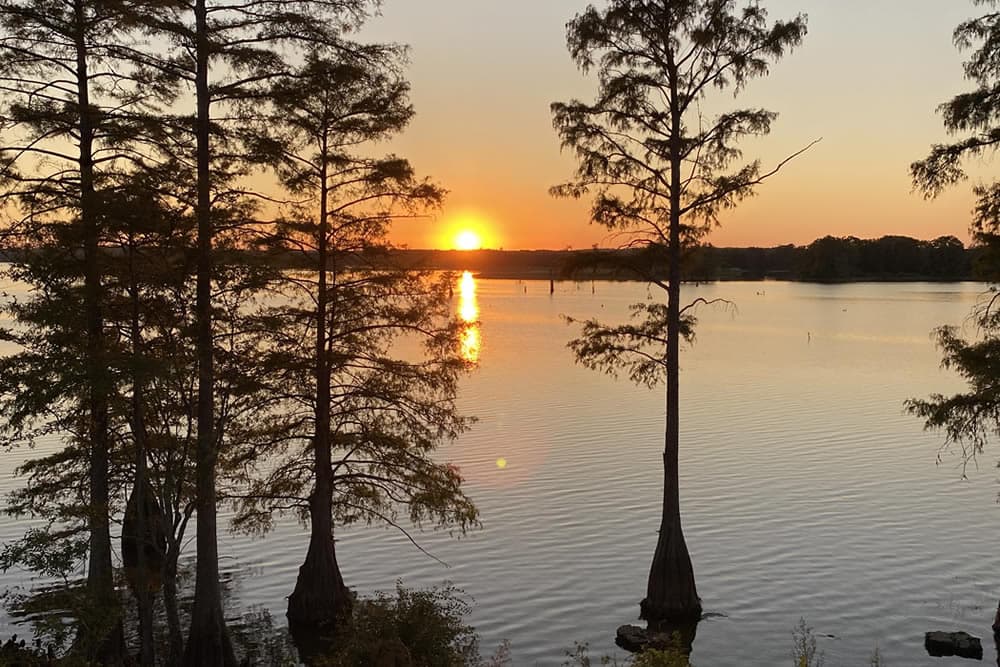 Sunset over a calm lake framed by silhouetted trees.