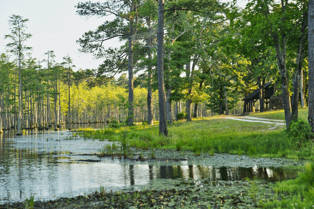 A serene landscape featuring a calm waterway bordered by lush trees and a pathway leading to a charming cabin.