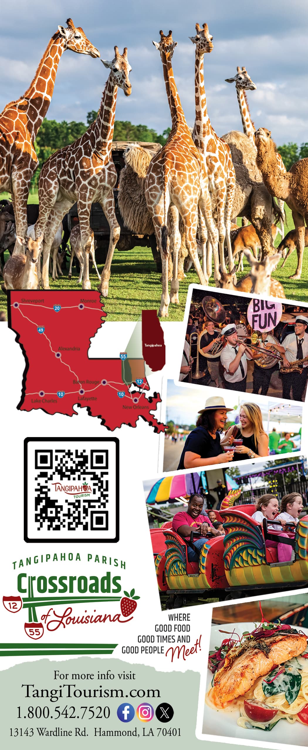 A collage featuring giraffes, a map of Tangipahoa Parish, and scenes of food and fun activities in Louisiana.