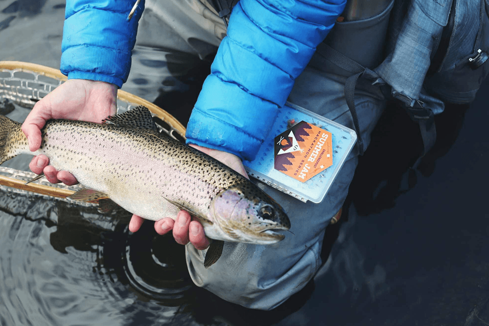 A person in a blue jacket holds a rainbow trout above the water, with a fly box visible nearby.