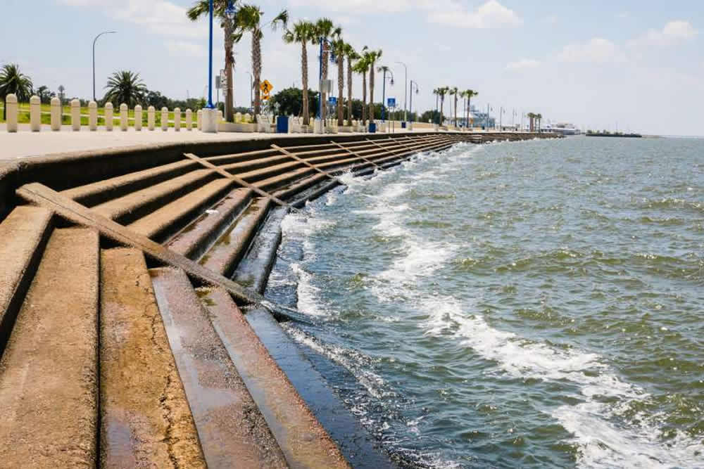 Urban waterfront with stepped concrete edges and palm trees along the shore.