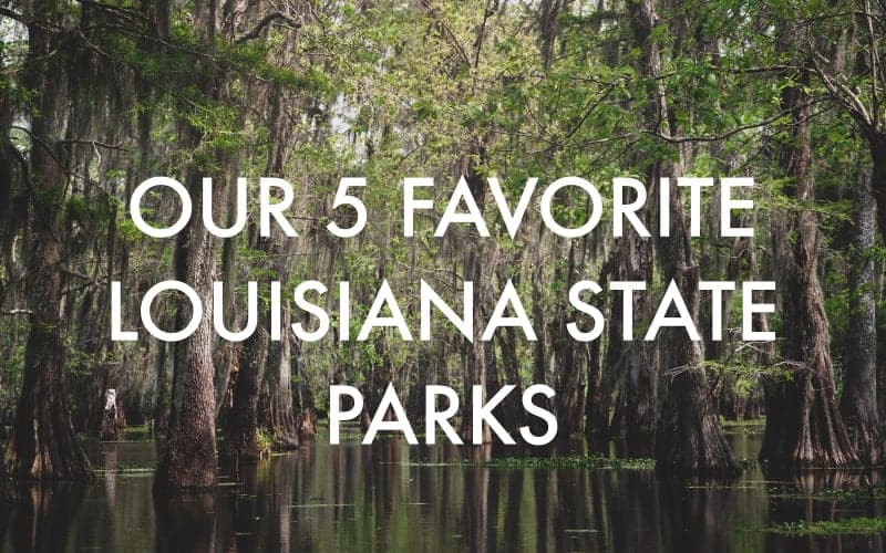 Lush swamp landscape with cypress trees and reflective water, featuring text about favorite Louisiana state parks.
