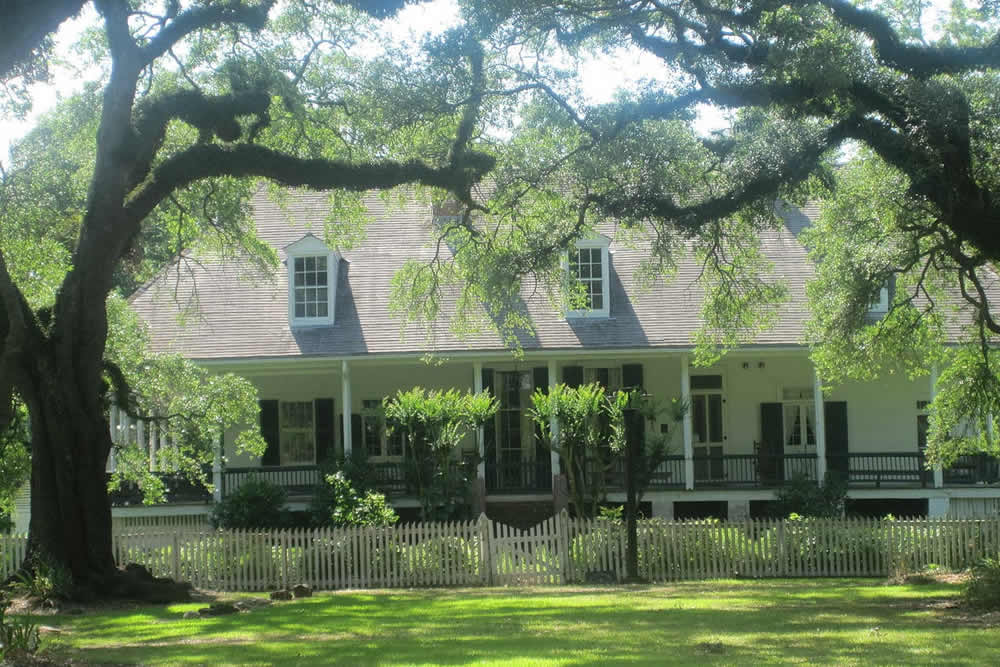 A charming white house surrounded by lush greenery and large trees.