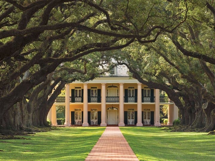 A grand plantation house framed by large, arching trees and a brick walkway. A grand plantation house framed by large, arching trees and a brick walkway.