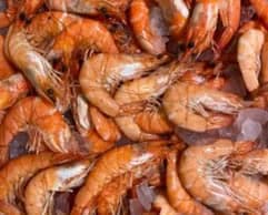 A close-up of orange cooked shrimp on ice.