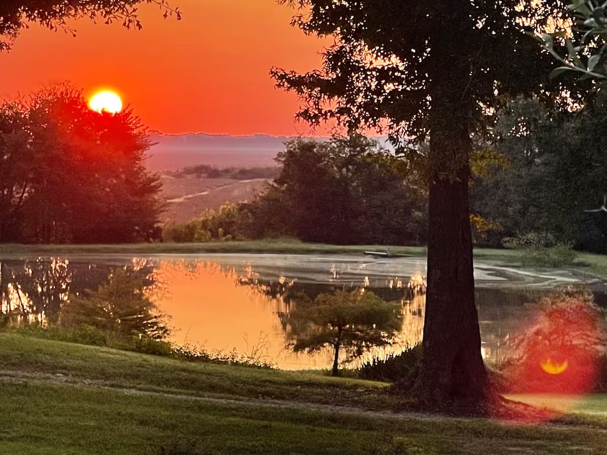 Huey_Hill_Bed_Breakfast_Louisiana_Sunrise
