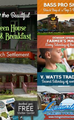 Advertisers, Louisiana Bed and Breakfast Association