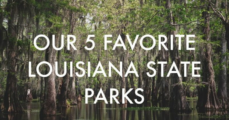 Our 5 Favorite Louisiana State Parks, Louisiana Bed and Breakfast Association