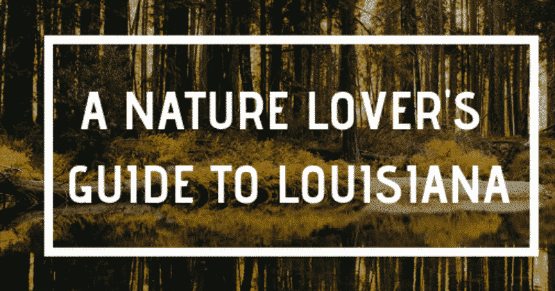 A Nature Lover&#8217;s Guide to Louisiana, Louisiana Bed and Breakfast Association