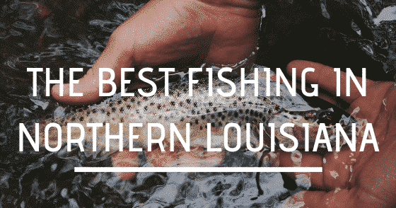 The Best Fishing in Northern Louisiana, Louisiana Bed and Breakfast Association